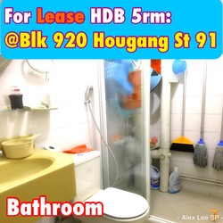 Blk 920 Hougang Street 91 (Hougang), HDB 5 Rooms #216115911